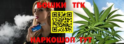 индика Лесосибирск