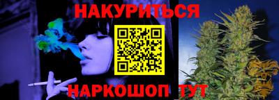 индика Лесосибирск