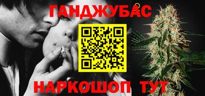 индика Лесосибирск