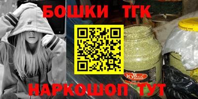 индика Лесосибирск