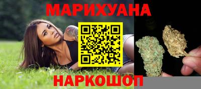 индика Лесосибирск