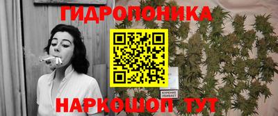 индика Лесосибирск