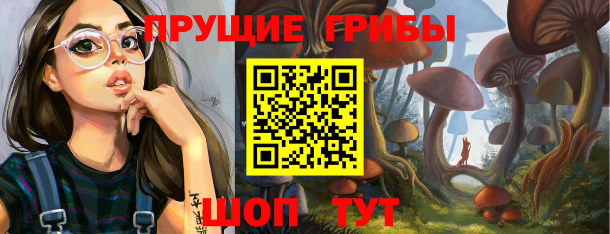 Звенигород  Псилоцибиновые грибы мицелий  Вход с VPN 
