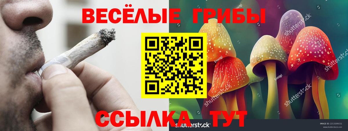 Псилоцибиновые грибы MAGIC MUSHROOMS Звенигород