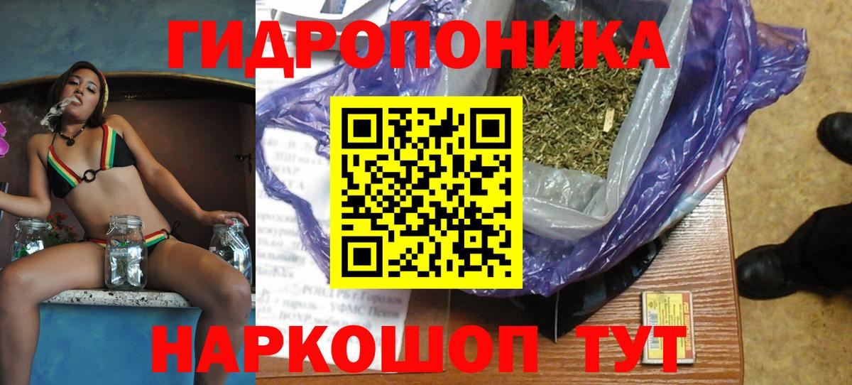 Конопля Bruce Banner Звенигород
